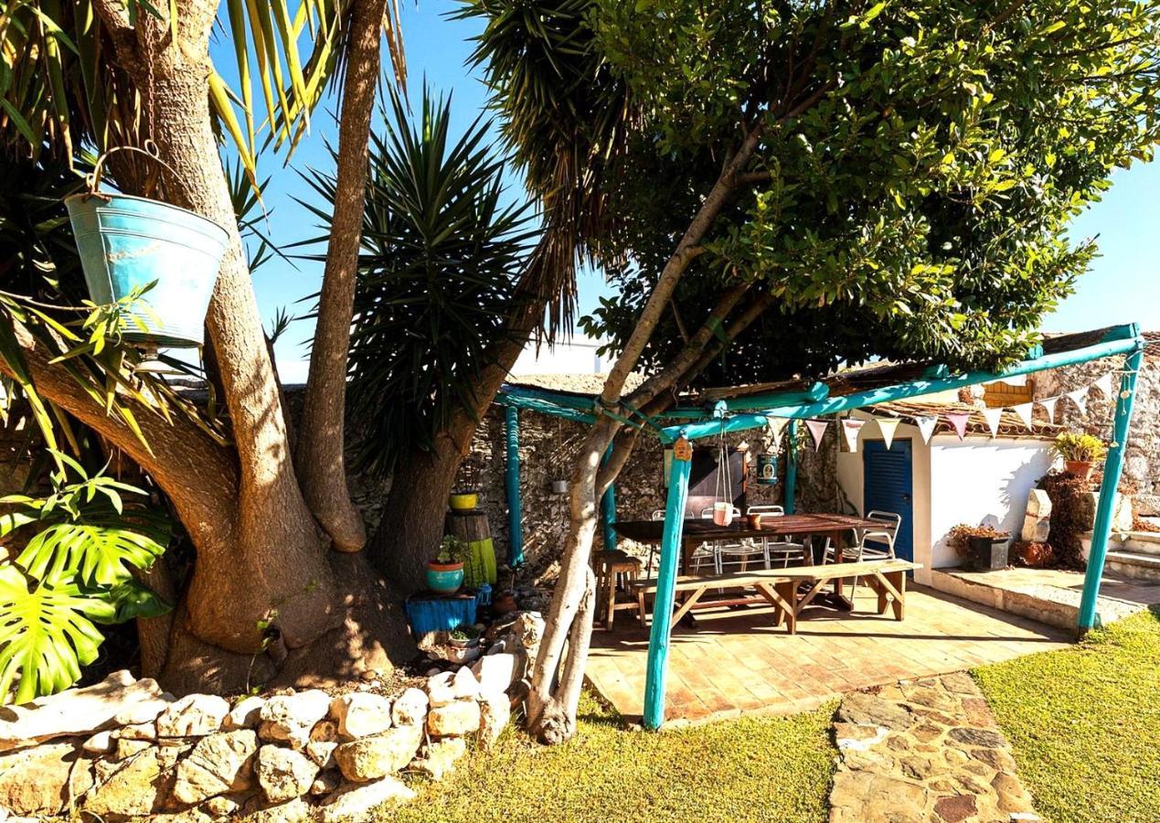 Salir Casa Do Torreao Bed & Breakfast エクステリア 写真