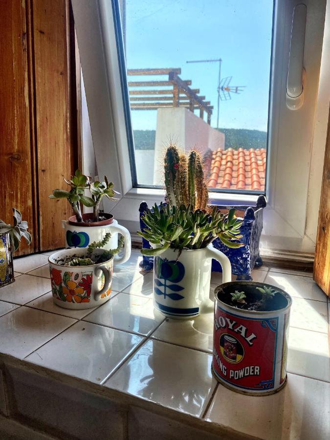Salir Casa Do Torreao Bed & Breakfast エクステリア 写真